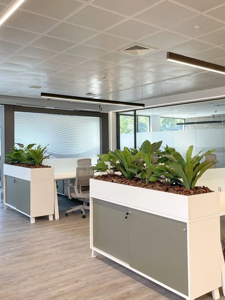 Después: remodelación de oficina corporativa en San Bernardo